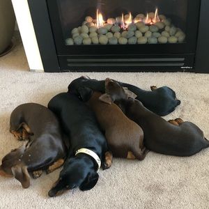 Meet your Posher, Leah